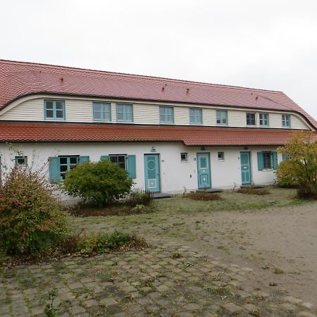 Bernsteinnixe Dranske Esterno foto
